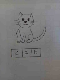 cat-picture-with-completed-phoneme-frame