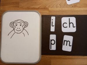 chimp